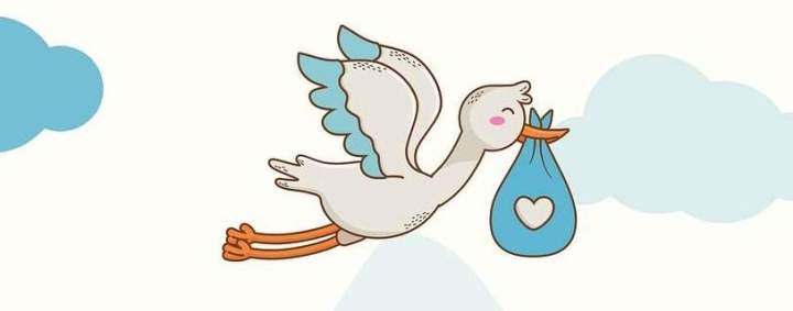 stork 7653118 1280